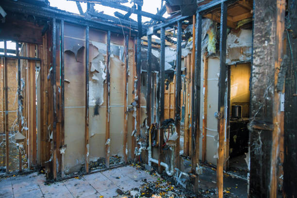 Professional Fire Damage Restoration technician working in Palm Harbor, FL
