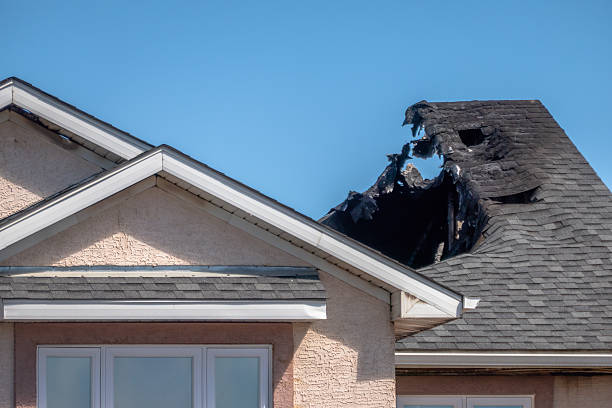 Top rated local Fire Damage Restoration specialists in Palm Harbor, FL